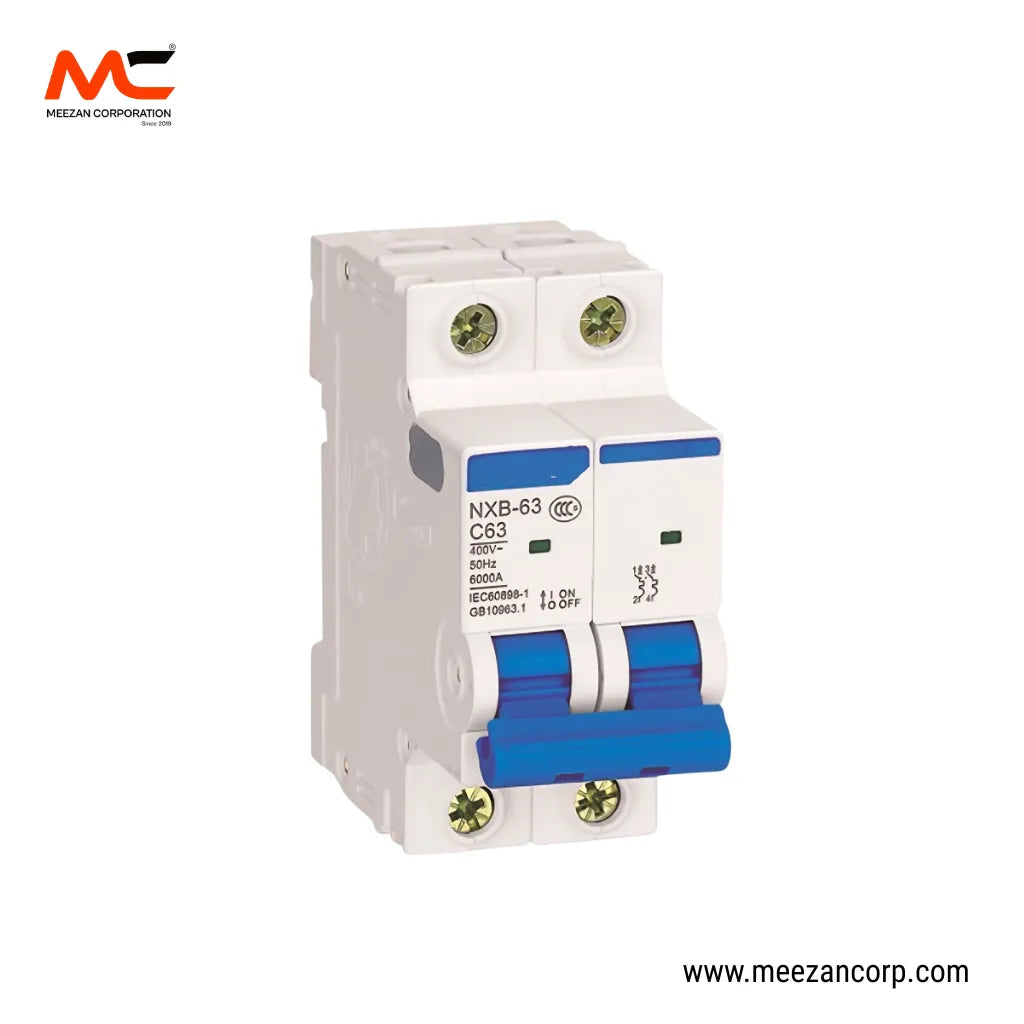 Chint Two Pole Breaker 63A