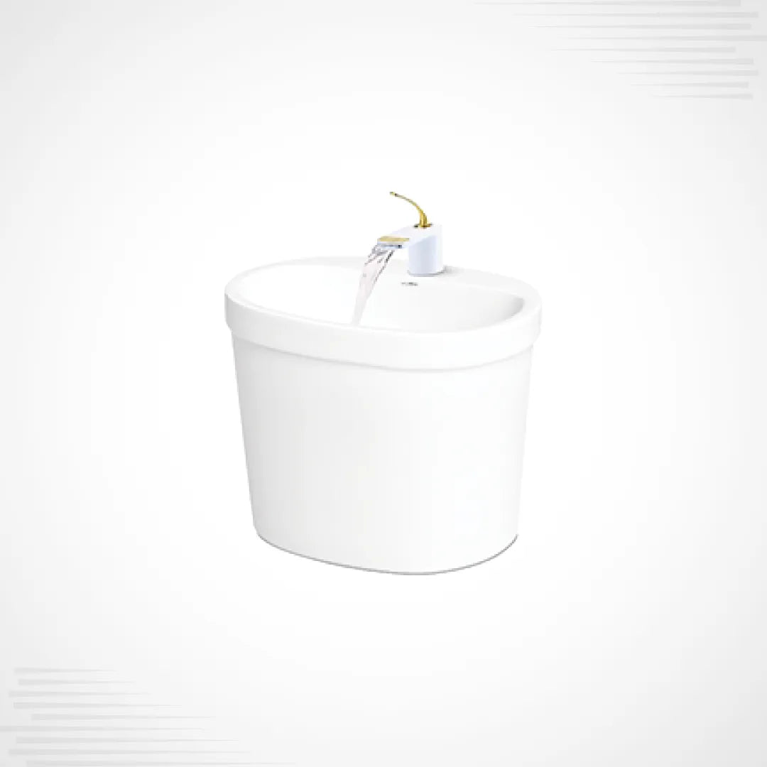 Dell WH 02 Wall Hang Basin