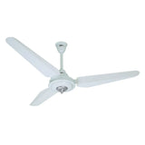 SK Fan Antique Series