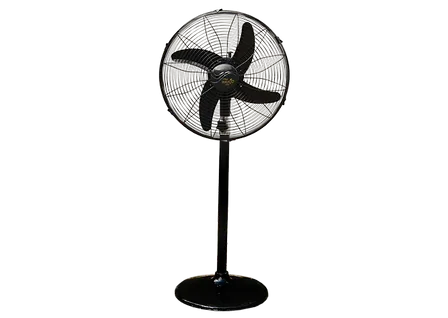 Wahid Fan PB 18" Special Standard