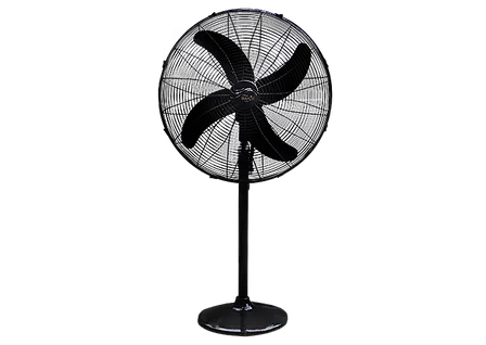 Wahid Fan PB 24" Special Standard