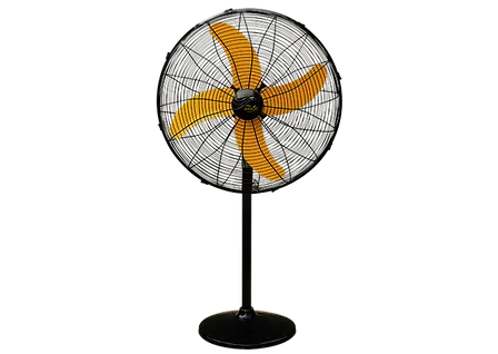Wahid Fan PB 24" Special Standard